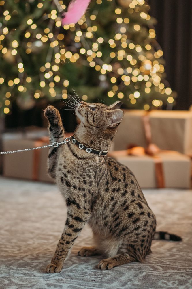 Photograph by Маргарита Кудряшова