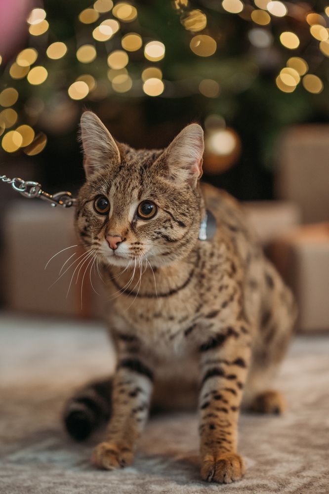 Photograph by Маргарита Кудряшова