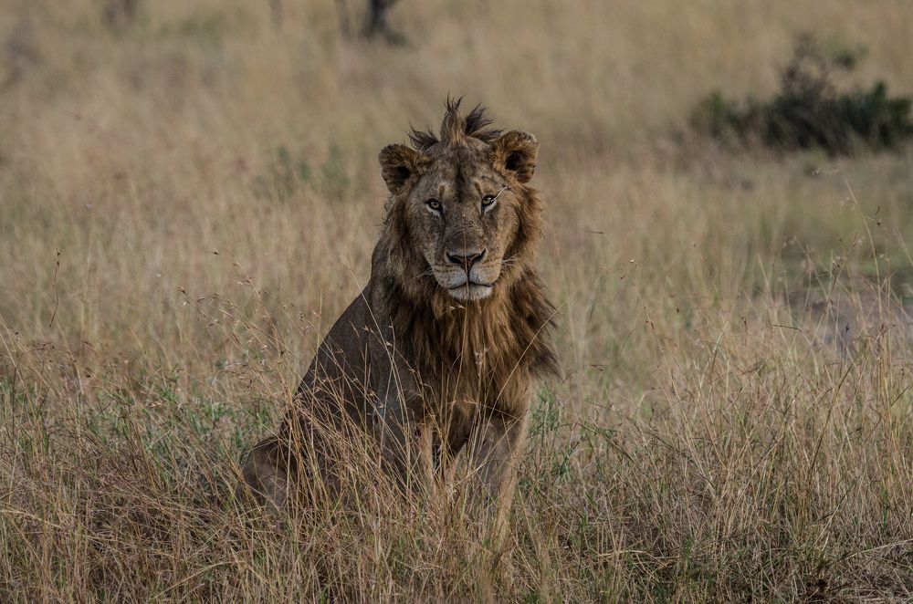 Photograph by Murad Rajabali Habib