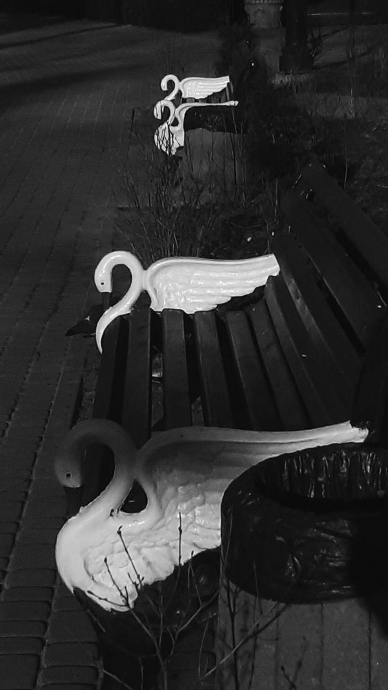 Photograph by Петро Бліщ