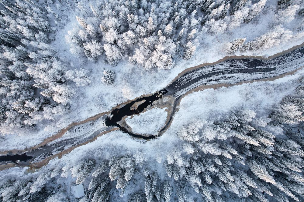 Photograph by Сергей Ефимов