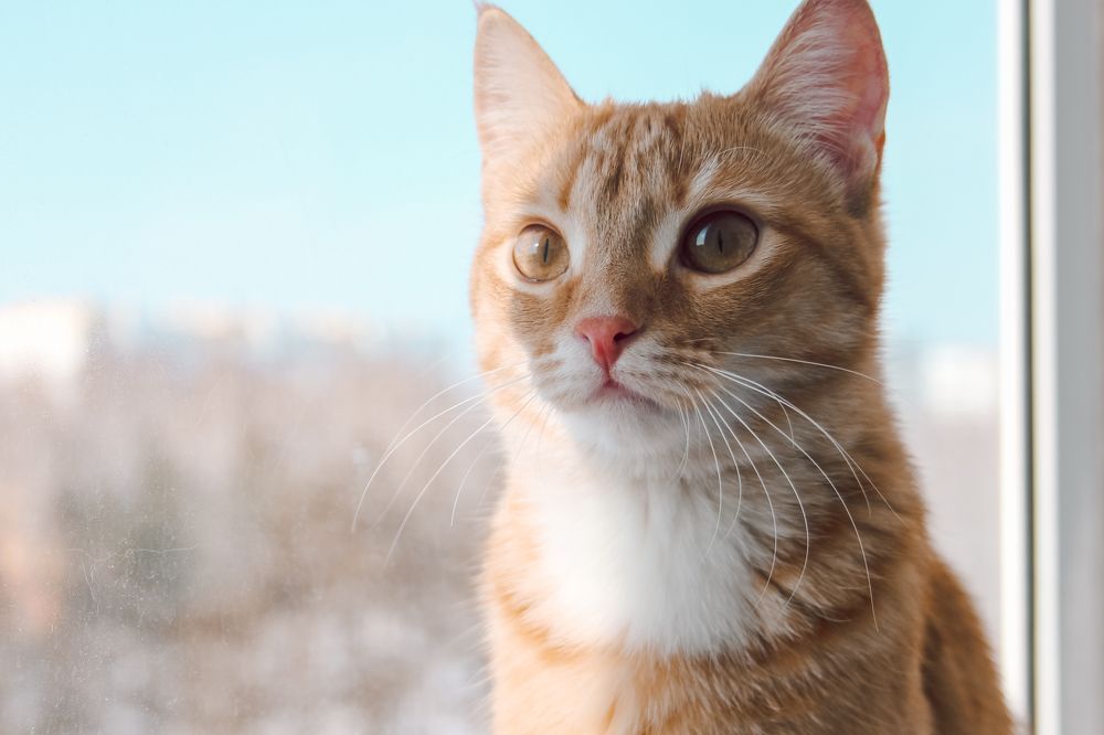 Photograph by Влад Богаткин