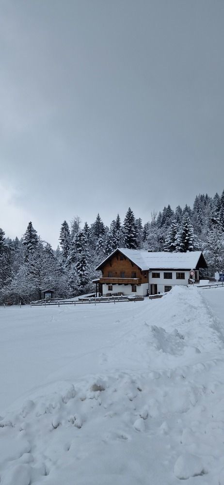 Photograph by Людмила Комарова