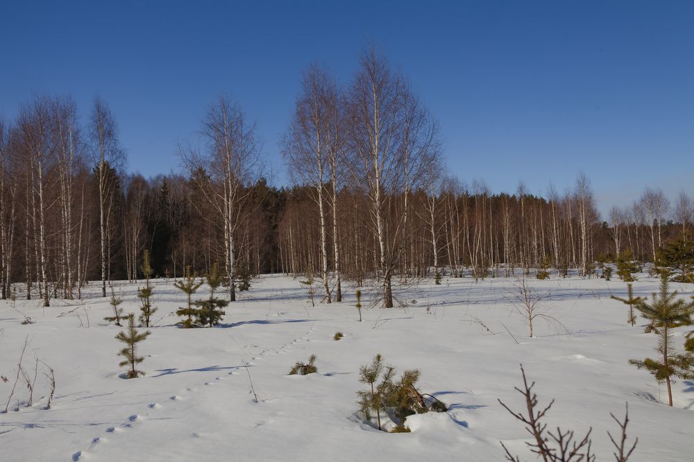 Фотография автора Вадим Лабитов