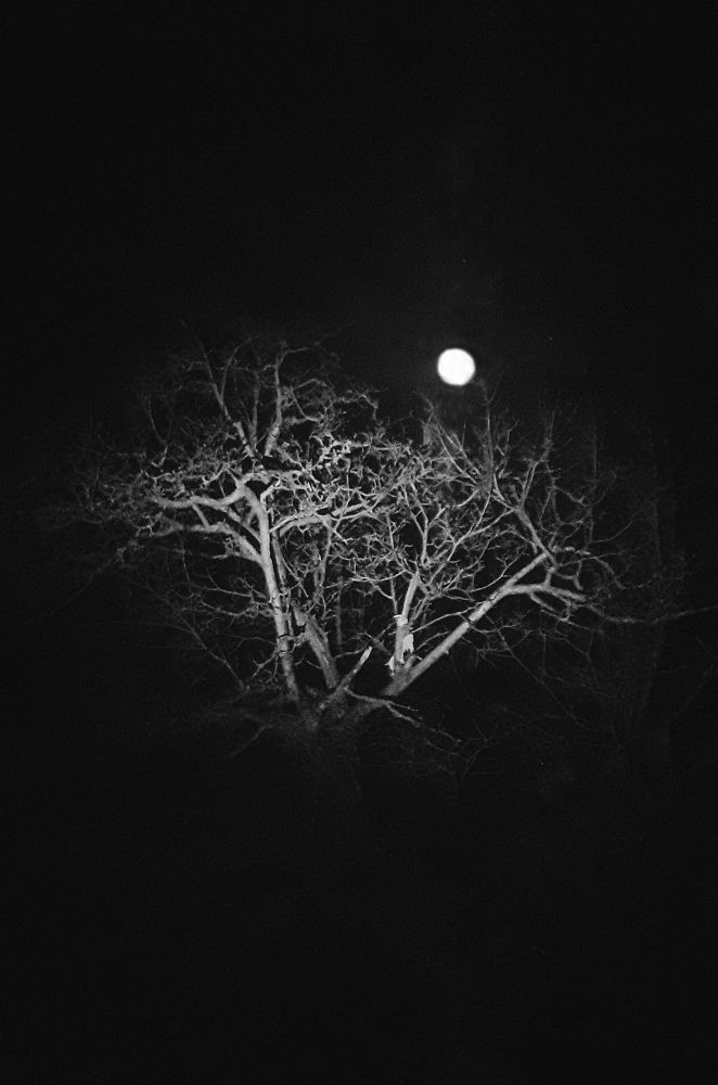 Photograph by Петро Бліщ