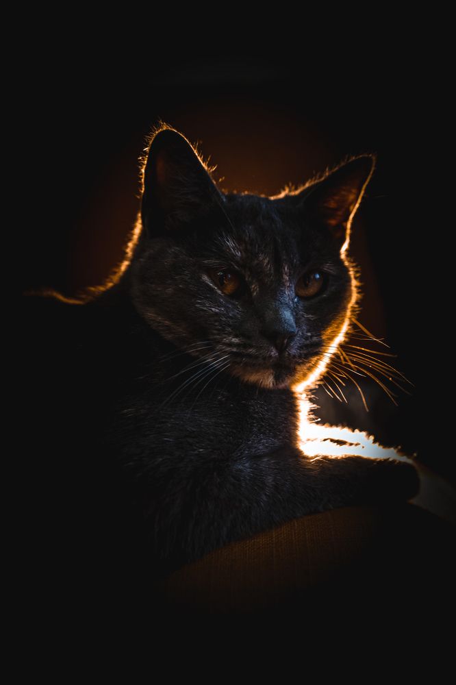 Фотография автора Татьяна Тур