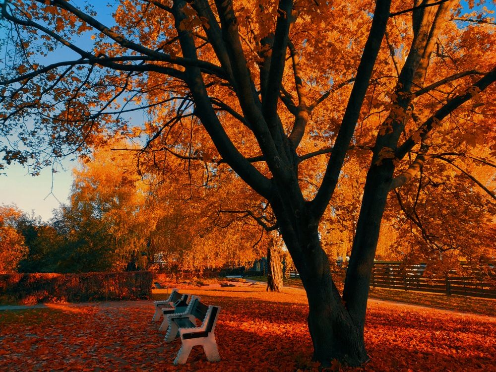 Photograph by Ирина Скворцова