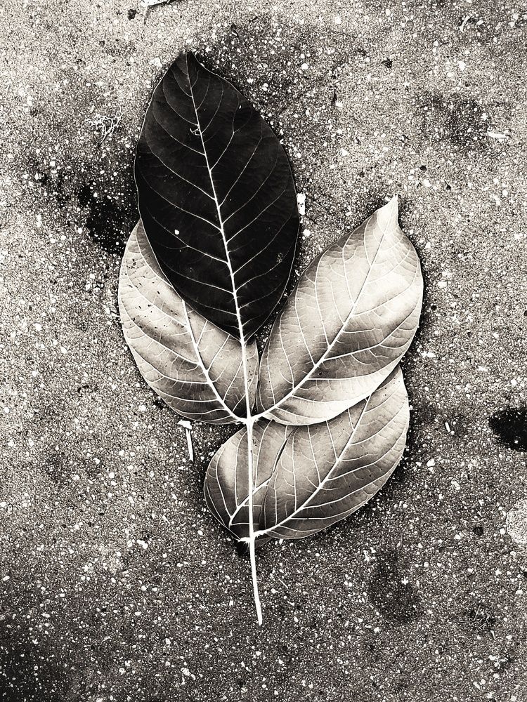 Photograph by Микаел Гончоян