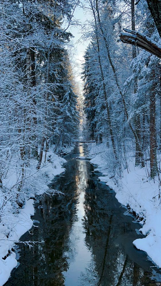 Фотография автора Сергей Ефимов