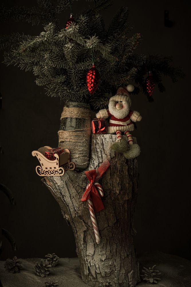 Photograph by Жанна