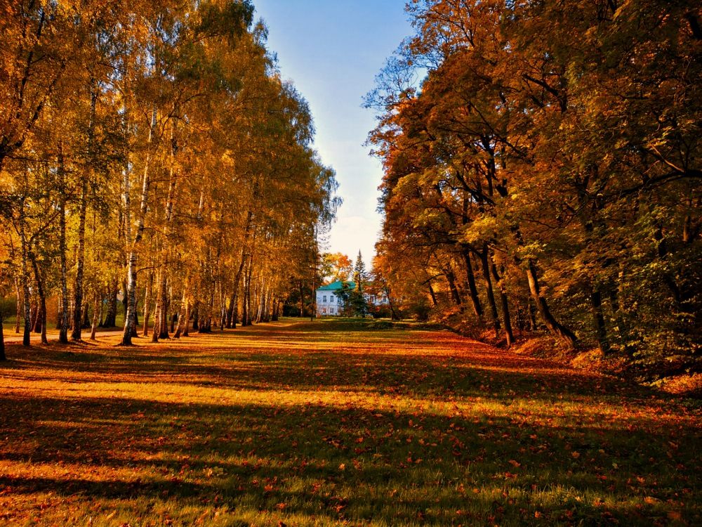 Photograph by Ирина Скворцова