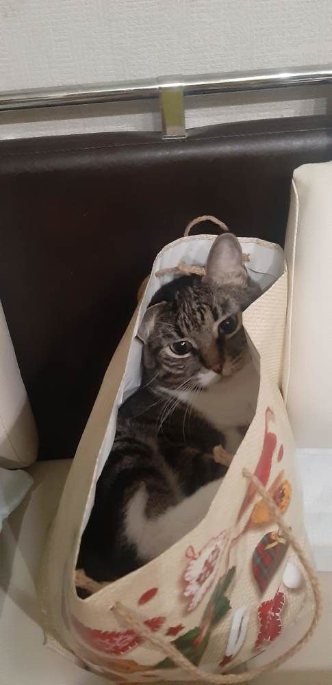 Photograph by Анна Авилочкина