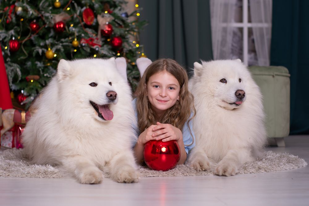 Photograph by Татьяна Гурьянова