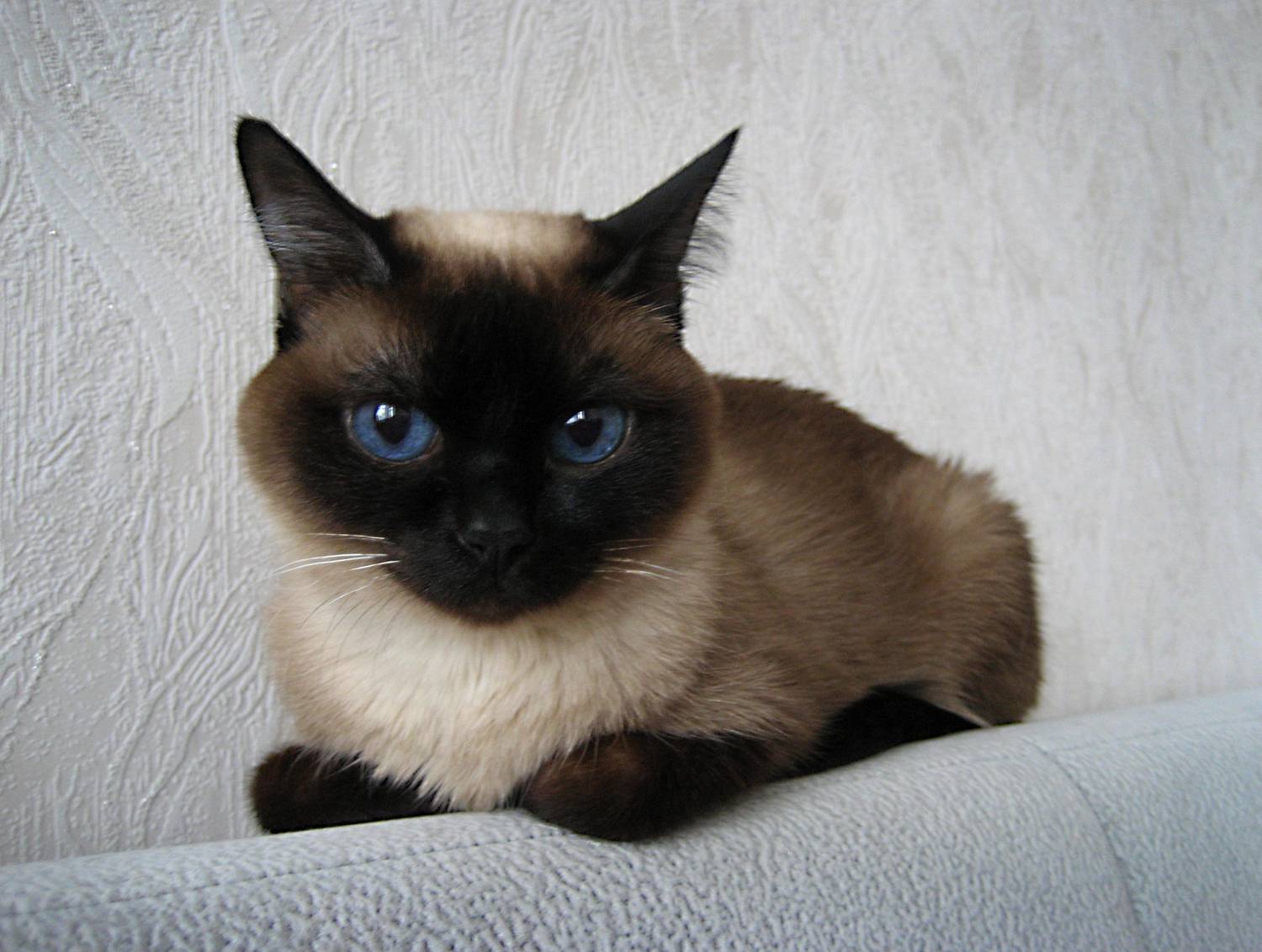 Photo #8714194
