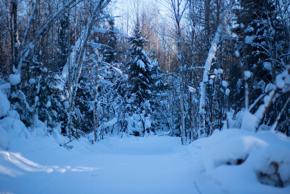 Photograph by Марина Шевцова