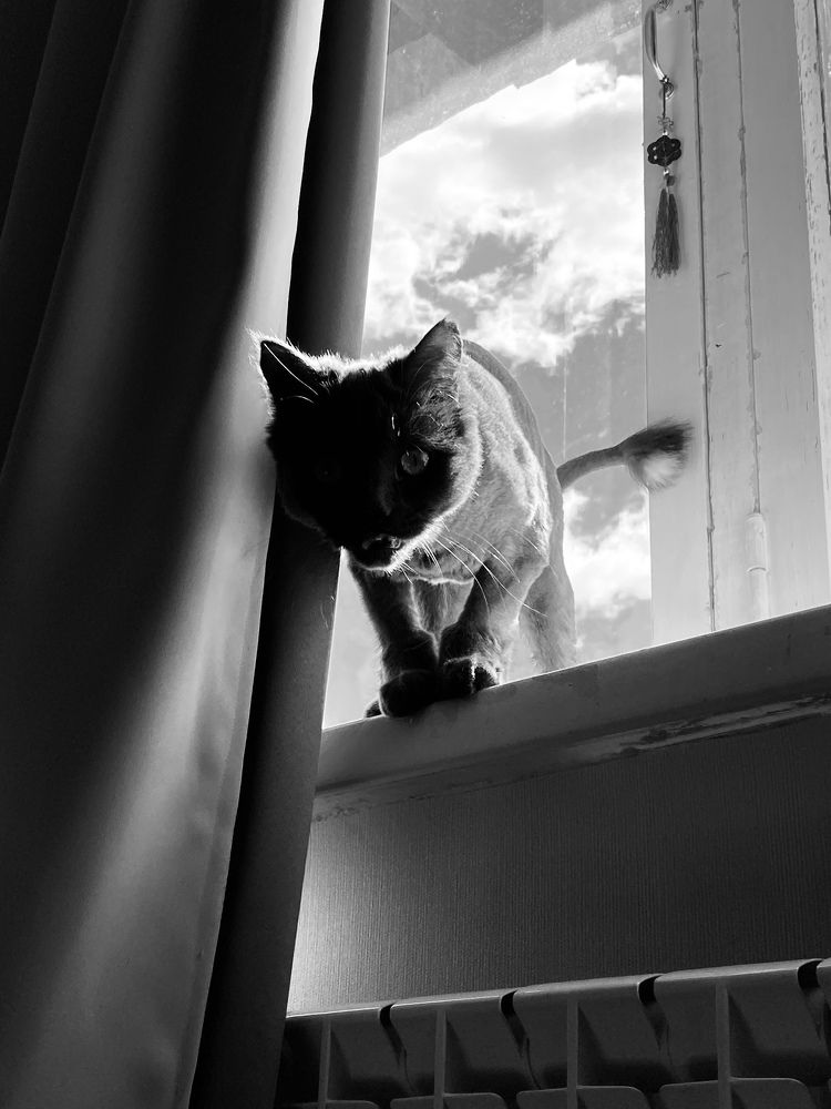 Фотография автора Анастасия Подкорытова