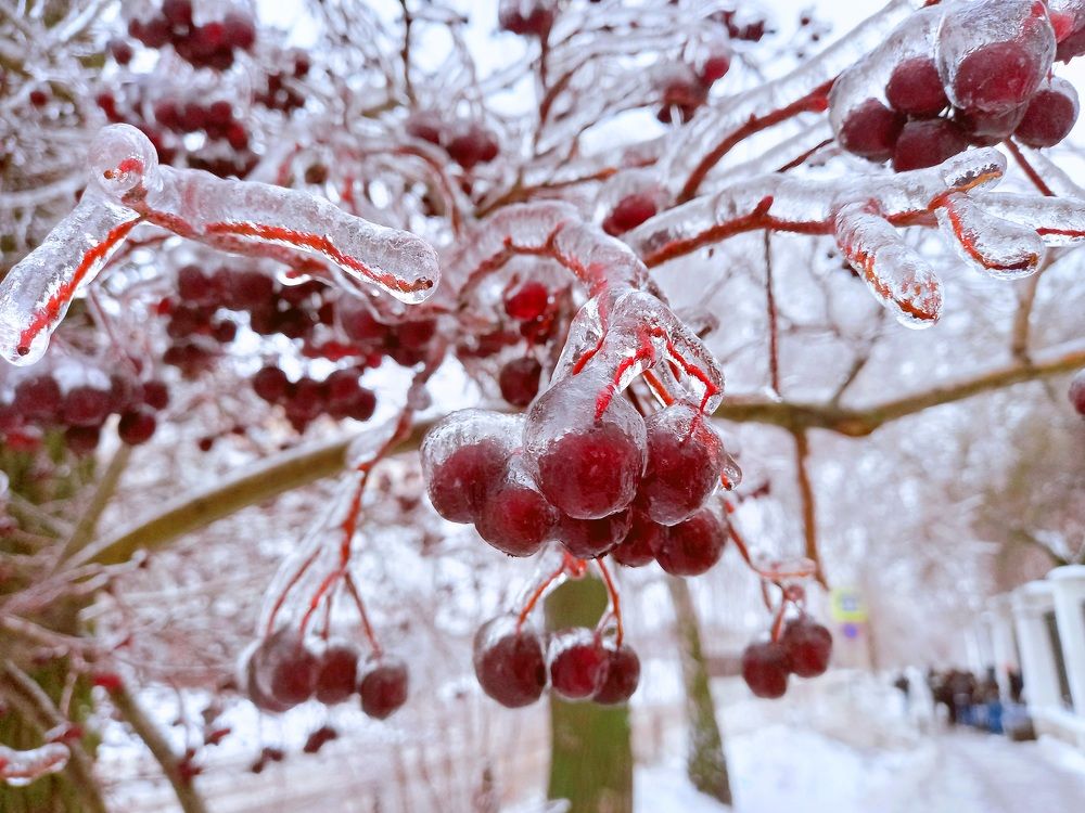 Photograph by дмитрий топко