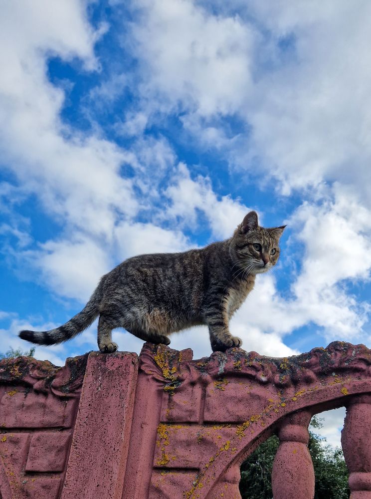 Photograph by Елена Гордеева