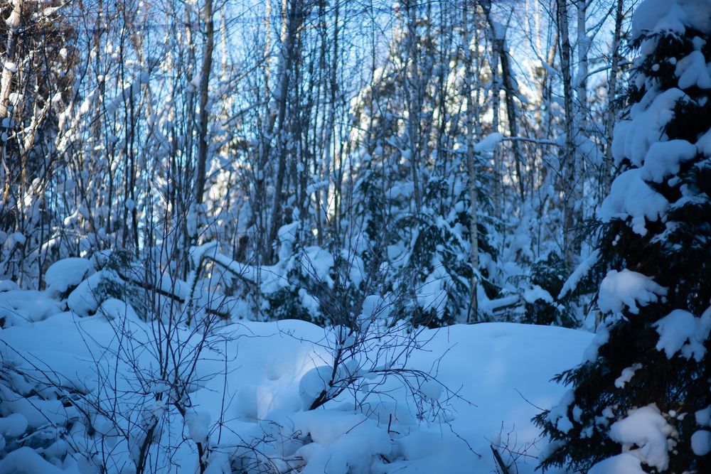 Photograph by Марина Шевцова