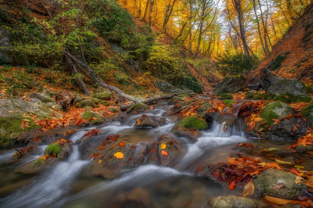 Photograph by Дмитренко Екатерина