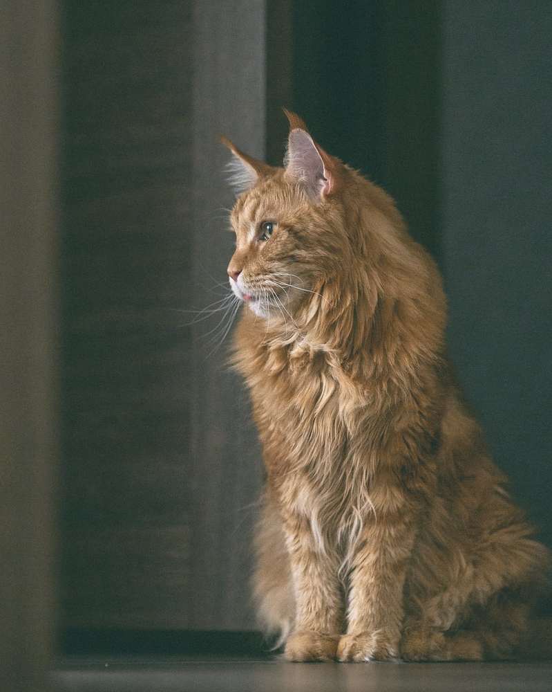 Photograph by Вячеслав Прыгун