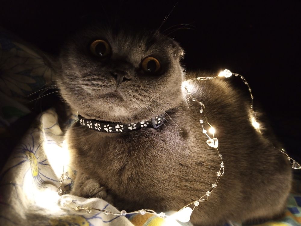 Photograph by Арина