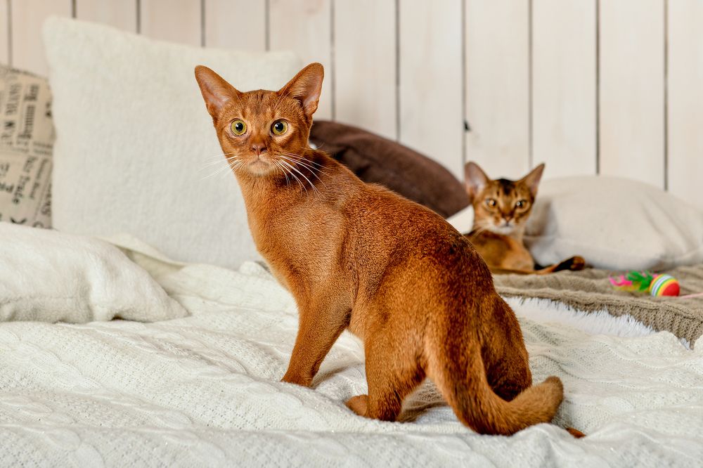 Photograph by Мария Луцук