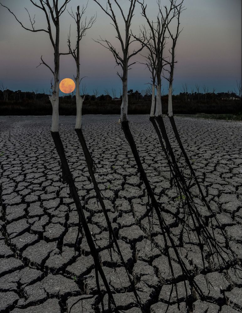 Photograph by Ricardo Kimmich