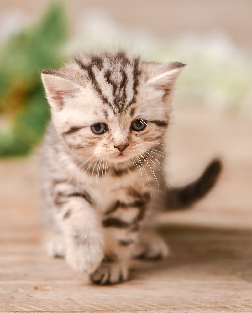 Photograph by Мария Луцук