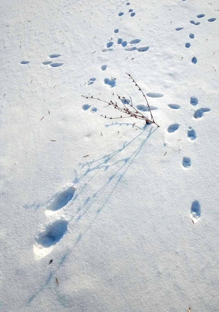 Photograph by Юрий Варюхин