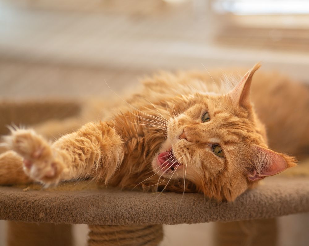 Photograph by Вячеслав Прыгун