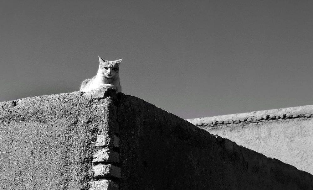 Photograph by minta samiei