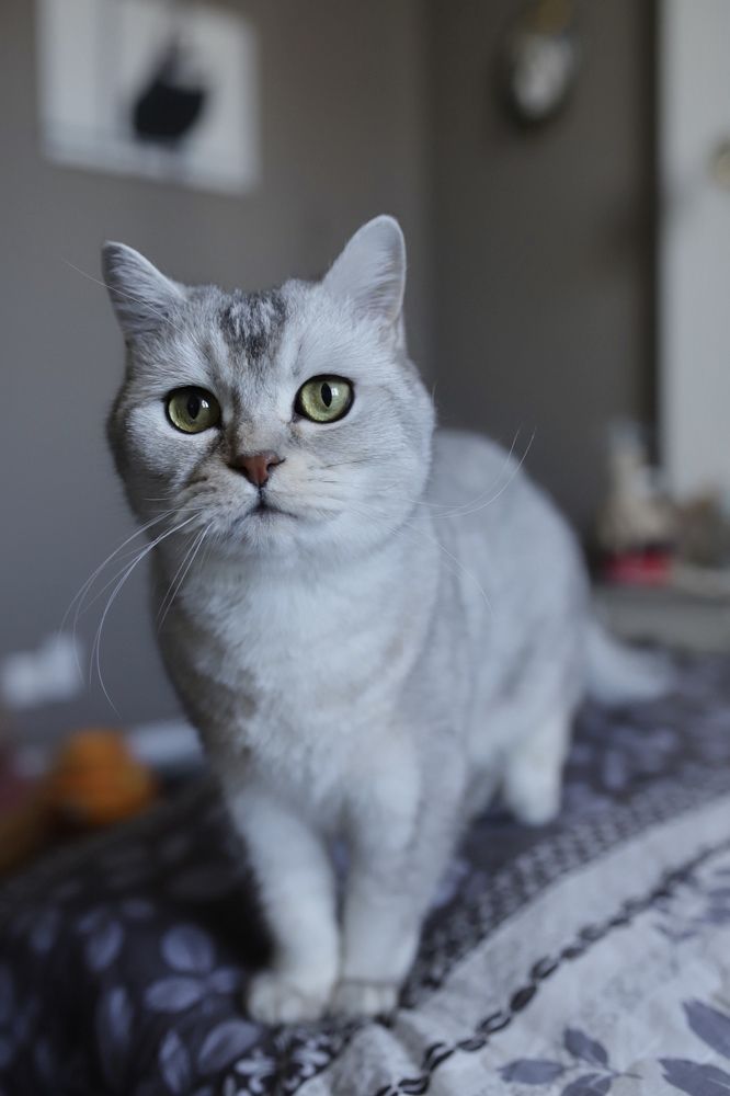 Photograph by Анастасия Барышева