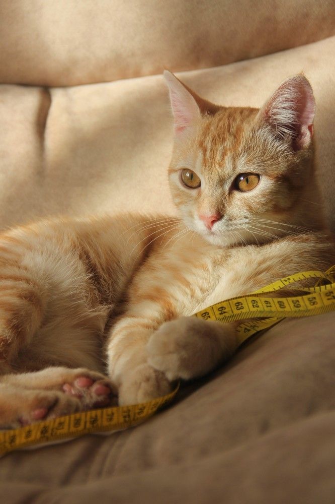 Photograph by Жанна Мещерякова