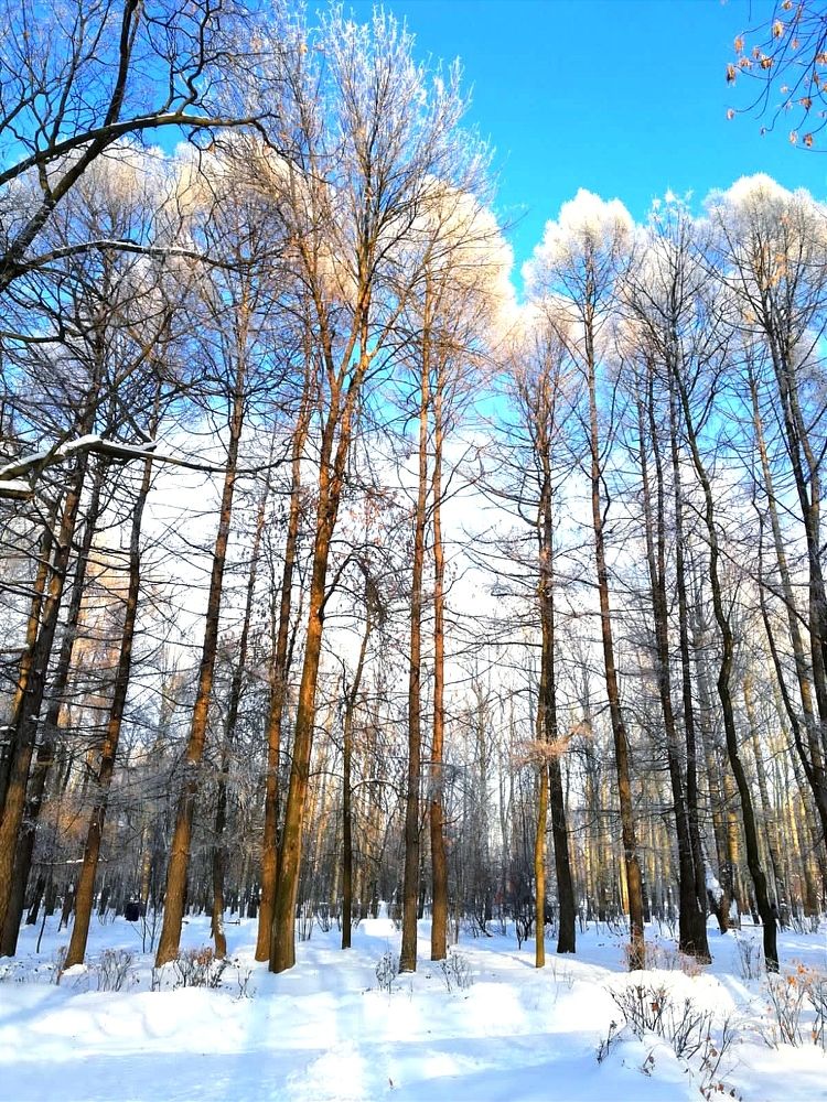 Photograph by Galina Novichkova