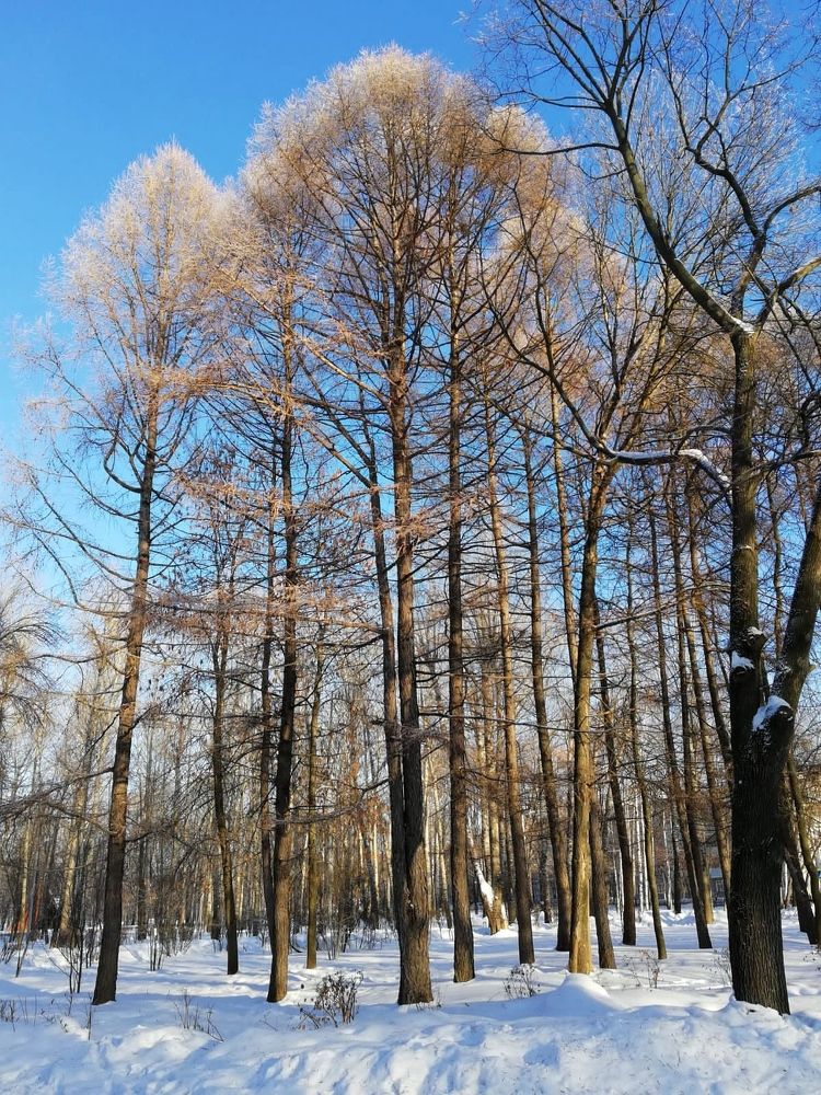 Photograph by Galina Novichkova