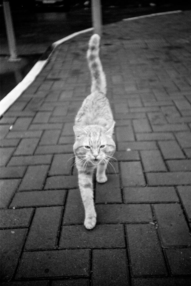 Photograph by Даниил Ошейко