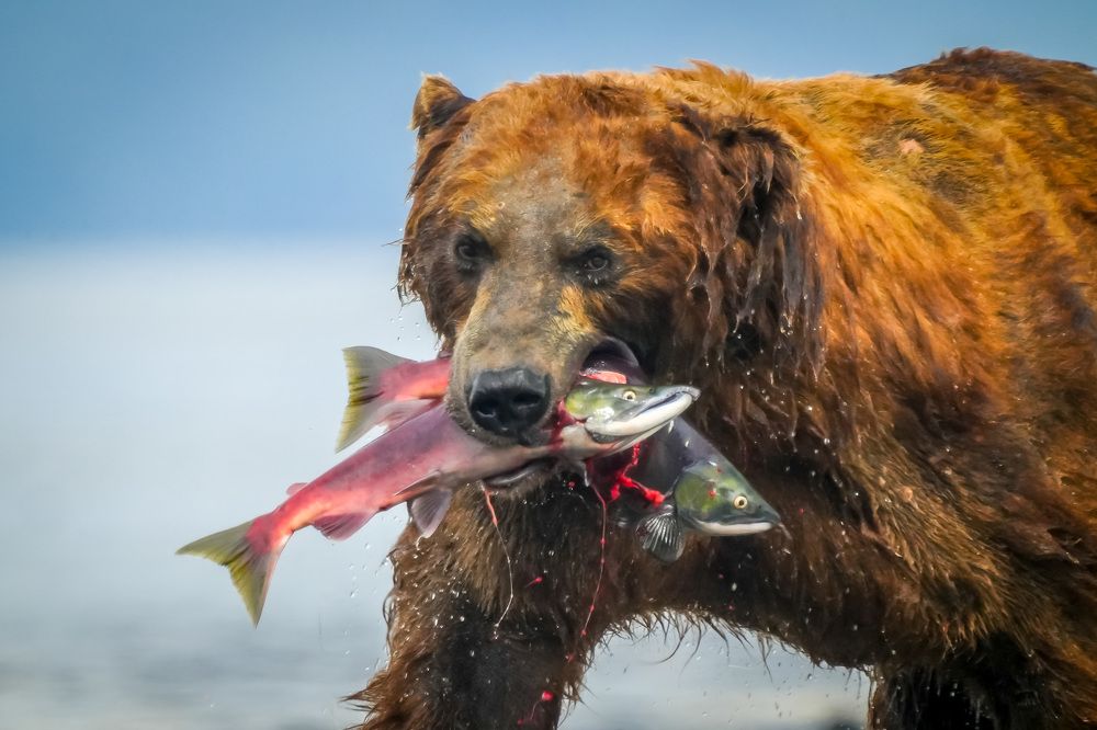 Photograph by Илья Труханов