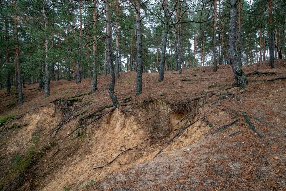 Photograph by Анна Крюкова