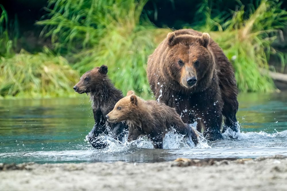 Photograph by Илья Труханов