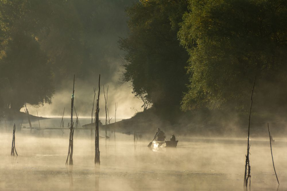 Photograph by Maja Tomić