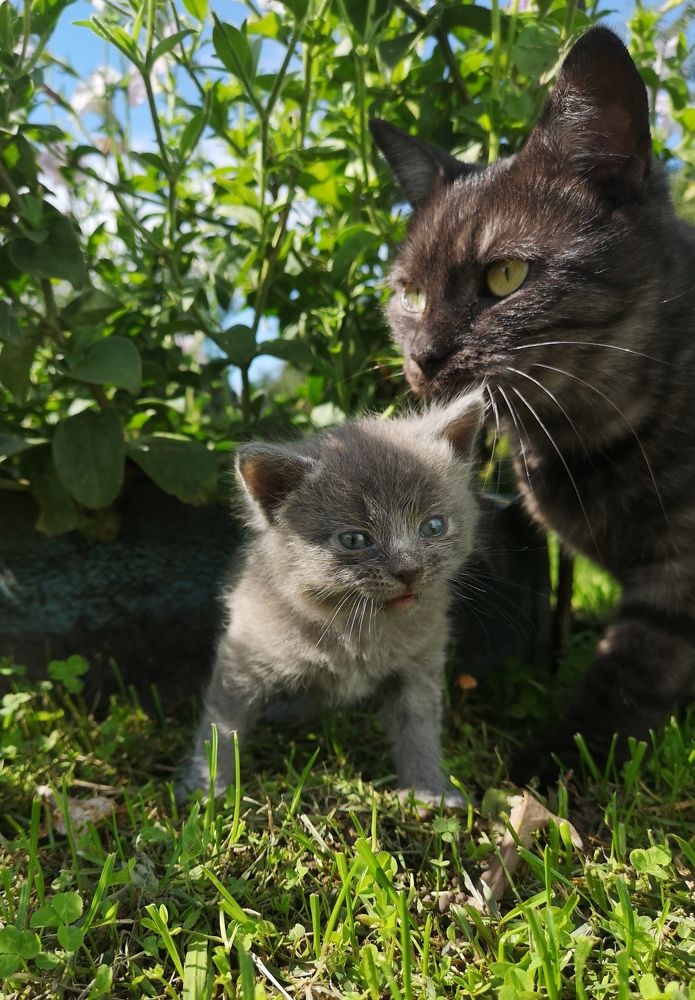 Photograph by Екатерина Борисовна Кузьмина