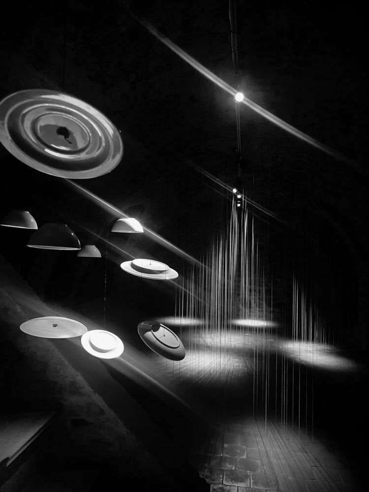 Photograph by Laura Simanaviciute