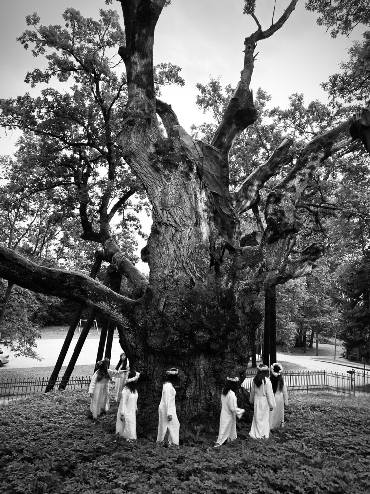 Photograph by Laura Simanaviciute