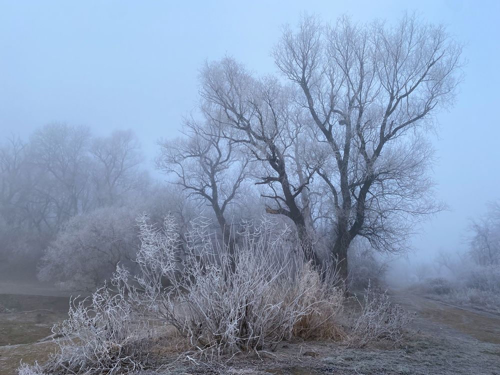 Photograph by Мария Чернецова