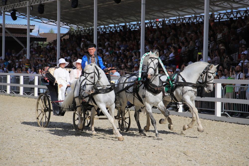 Photograph by Юлия Баринова