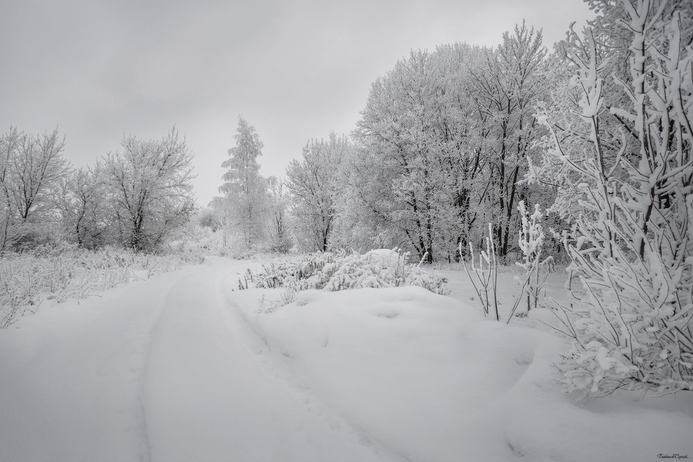 Photograph by Сергей Бибиков