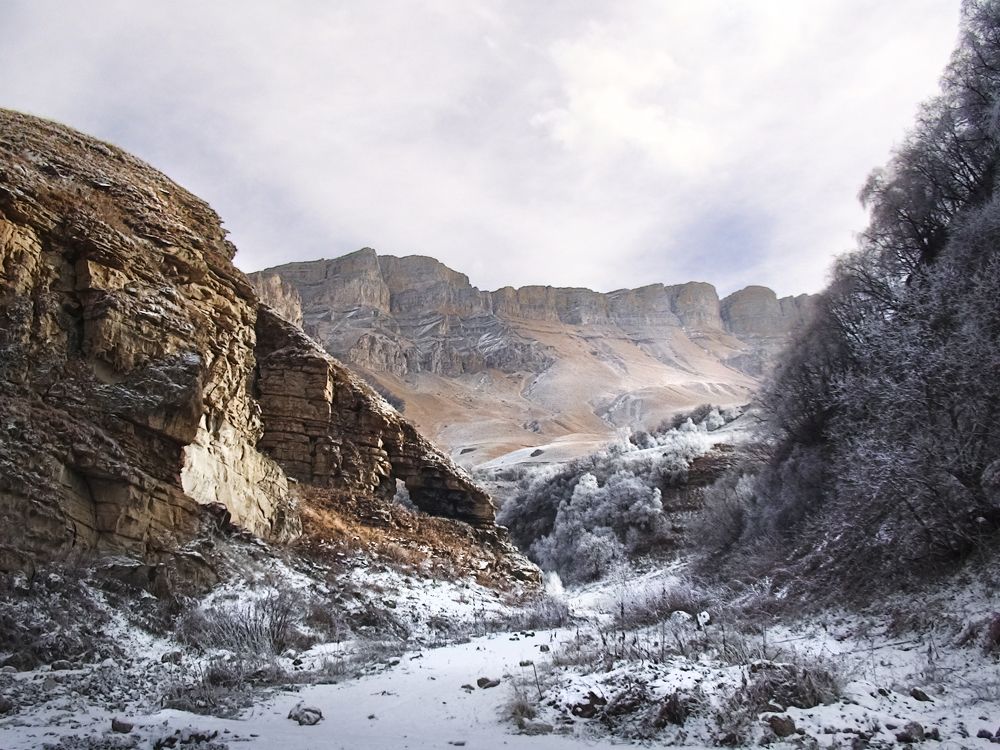 Photograph by Жанна Агафонова