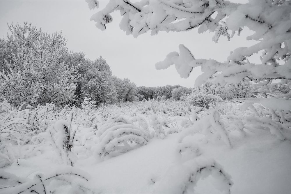 Photograph by Сергей Бибиков