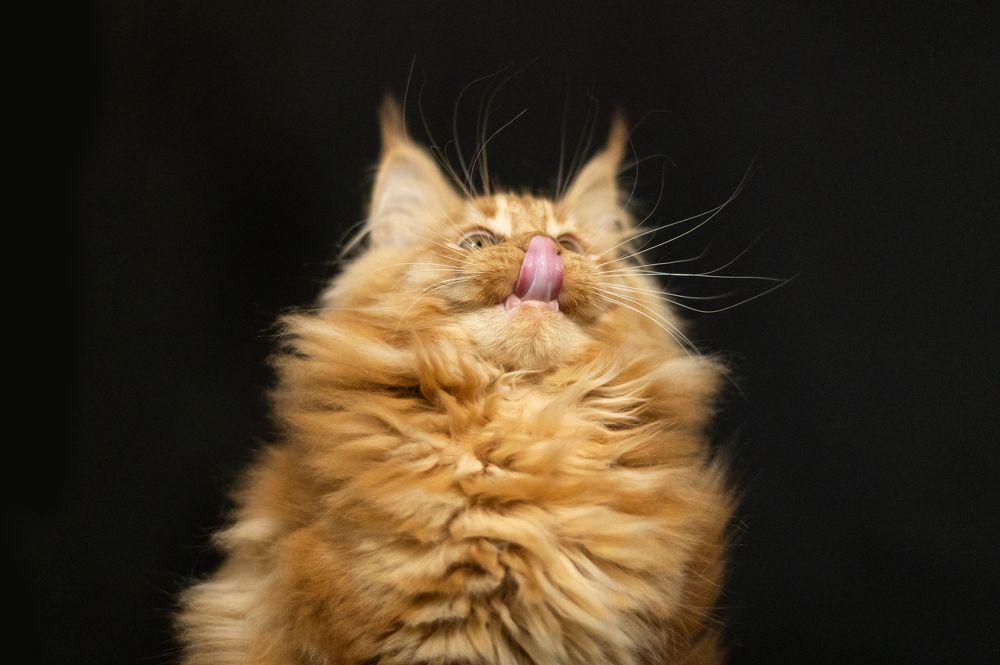 Photograph by Анастасия Мельник